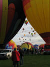 AIBF 2008